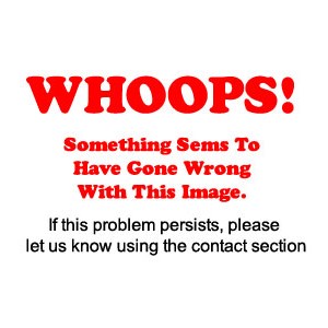 2092   ella          (21).jpg